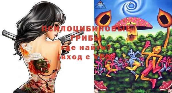 МДПВ Вязьма