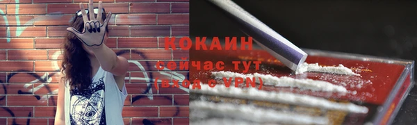 кокс Вяземский