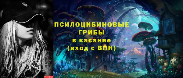 МДПВ Вязьма
