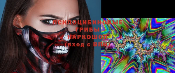 МДПВ Вязьма