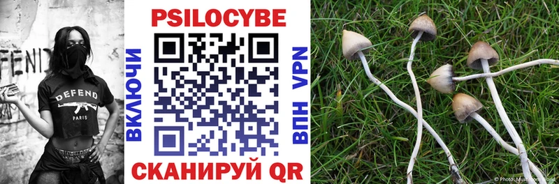 Псилоцибиновые грибы Magic Shrooms Ивдель